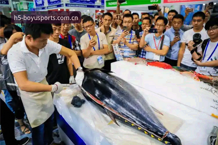 博鱼综合安装完整指南——从下载到流畅观赛的技术评测
